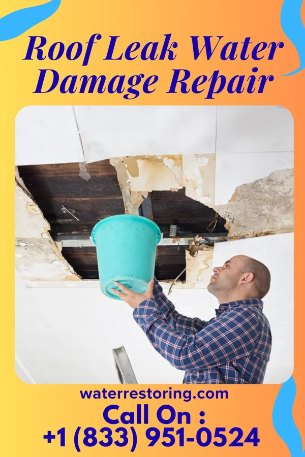 Roof Leak Water Damage Repair in Harveyville, KS
