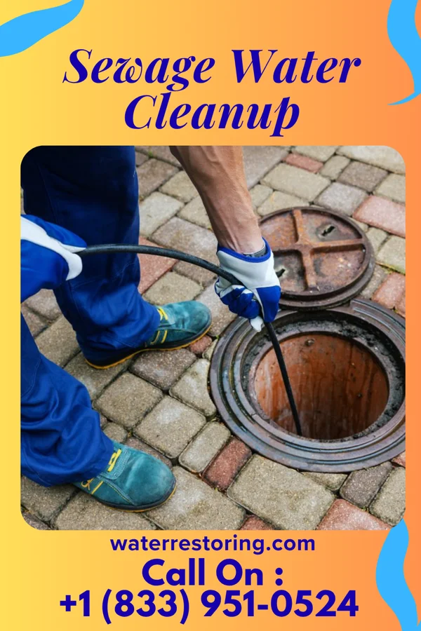 Sewage Water Cleanup in Harveyville, KS